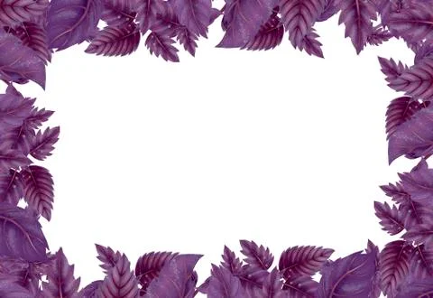 Rectangular frame, a decoration of Basil leaves. Stock Illustration