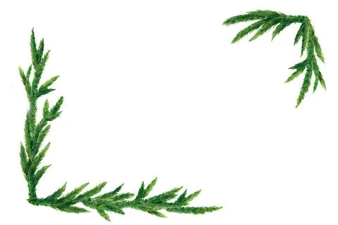 Rectangular frame of delicate fir branches, giving a cozy, winter feel perf.. Stock Illustration