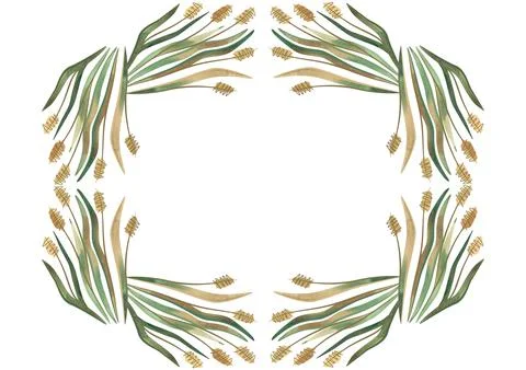 Rectangular frame of field grasses, cereals, ears and leaves. Decor for graphic Stock Illustration