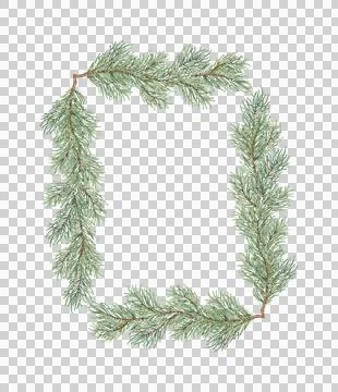 Rectangular frame of fir branches watercolor Stock Illustration