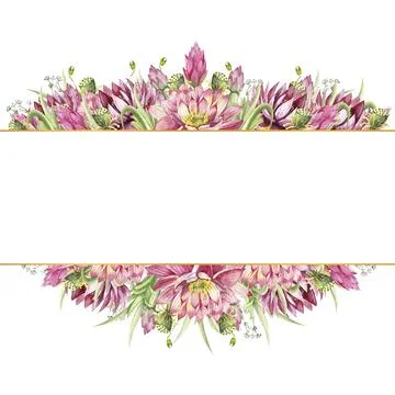 A rectangular frame with flowers of water lilies and wild forest grasses Stock Illustration