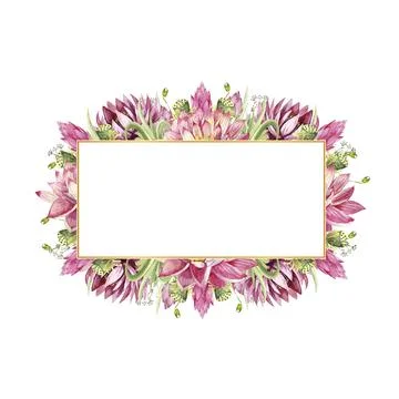 A rectangular frame with flowers of water lilies and wild forest grasses Stock Illustration