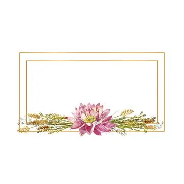 A rectangular frame with flowers of water lilies and wild forest grasses Stock Illustration
