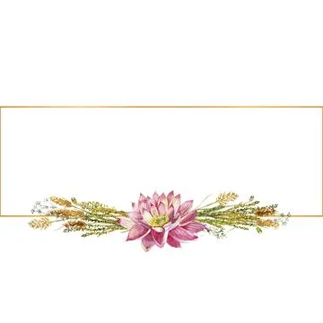 A rectangular frame with flowers of water lilies and wild forest grasses Stock Illustration