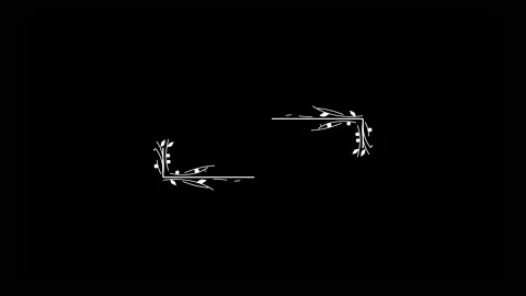 Rectangular frame with hand drawn flowers animation Stock Footage 149978667