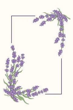 Rectangular frame of hand drawn lavender. Provence floral herbs with purple Stock Illustration