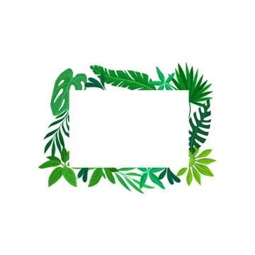 Rectangular frame of leaves. Vector illustration on white background. Stock Illustration