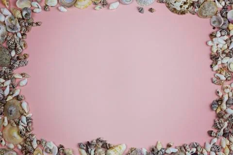 The rectangular frame is lined with seashells on a pink background Stock Photos