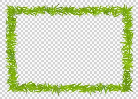 The rectangular frame is made of cannabis leaves. Stock Illustration