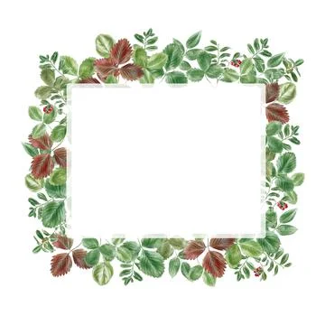 Rectangular frame made of green leaves decoration Stock Illustration