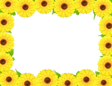 Rectangular frame made of sunflowers around Stock Photos