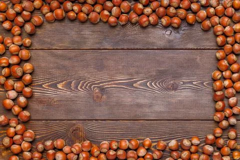 Rectangular frame of many hazelnuts with shells on brown wooden surface Stock Photos