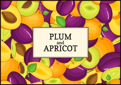 The rectangular frame on ripe apricot plum fruit background. Vector card Stock Illustration
