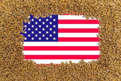 Rectangular frame of ripe grains of wheat on the background of the flag of USA Stock Photos