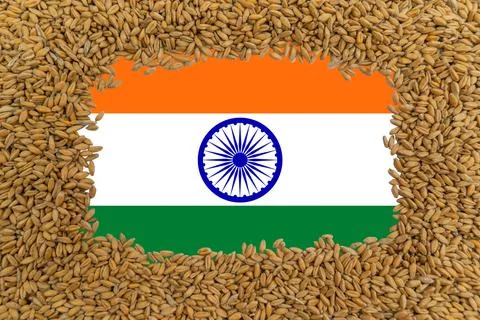Rectangular frame of ripe grains of wheat on the background of the flag of India Stock Photos