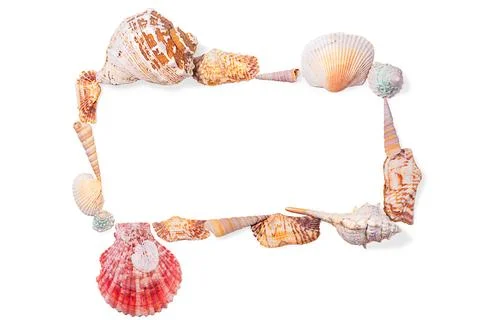 Rectangular frame from seashells, molluscs and seashells on white isolated .. Stock Photos