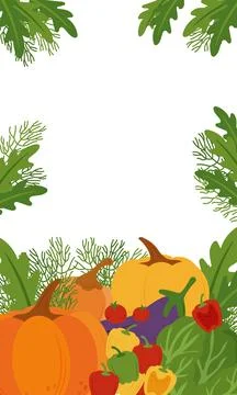 Rectangular frame of simple flat vegetables. Colorful autumn harvest of pumpkin  Stock-Illustration