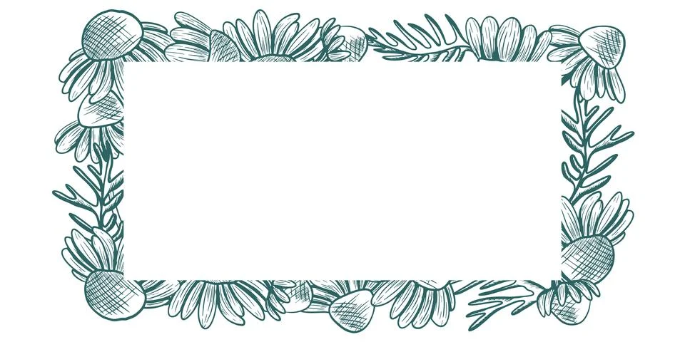 Rectangular frame with space for text and a chamomile with leaves. Vector f.. Stock Illustration