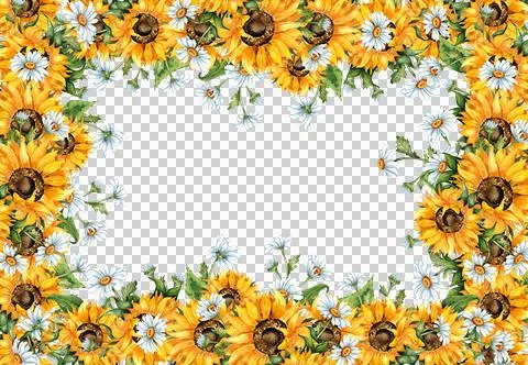 Rectangular frame of sunflowers and daisies watercolor Stock Illustration