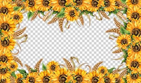 Rectangular frame of sunflowers and wheat in watercolor Stock Illustration