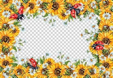 Rectangular frame sunflowers daisies and ladybugs watercolor Stock Illustration