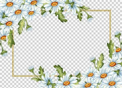 Rectangular frame with watercolor daisies Illustrazione stock