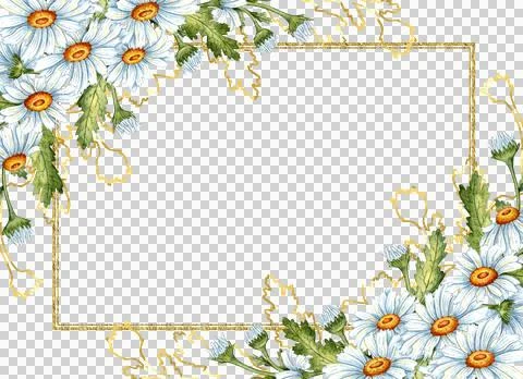 Rectangular frame with white daisies and brown outlines in watercolor Stock Illustration