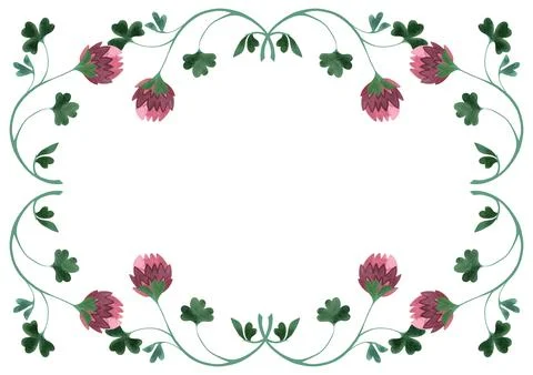 Rectangular frame of wild clover and shamrocks. Decor for graphic design Stock Illustration