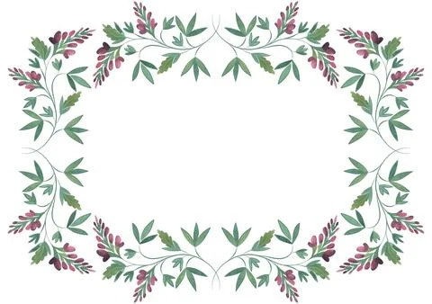 Rectangular frame of wild herbs, flowers and leaves. Decor for graphic design Stock Illustration