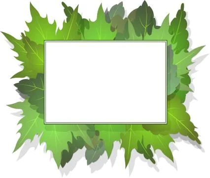 Rectangular frame for your design on a background of green leaves with shadow イラスト素材