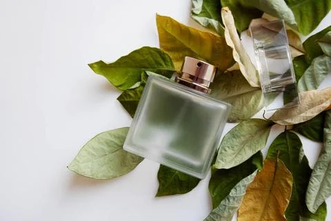 Rectangular glass perfume bottle with dry green and yellow leaves Rectangu... Stockfoto's