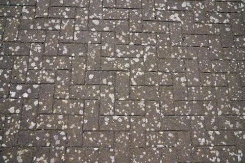 Rectangular, gray paving slabs. Splattered with light paint. Stock Photos