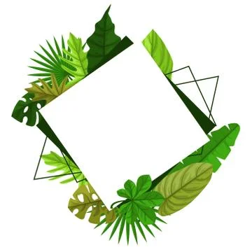 Rectangular Green Tropical Plant Summer Leaf Border Frame Background Stock Illustration