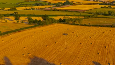 Rectangular hay bales across golden harvested field under warm evening light Stock Footage 345126268