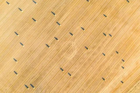 Rectangular hay bales on golden stubble field 库存照片