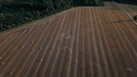 Rectangular hay bales in grid, tractor and lane by conifer woodland 스톡 동영상 324795020