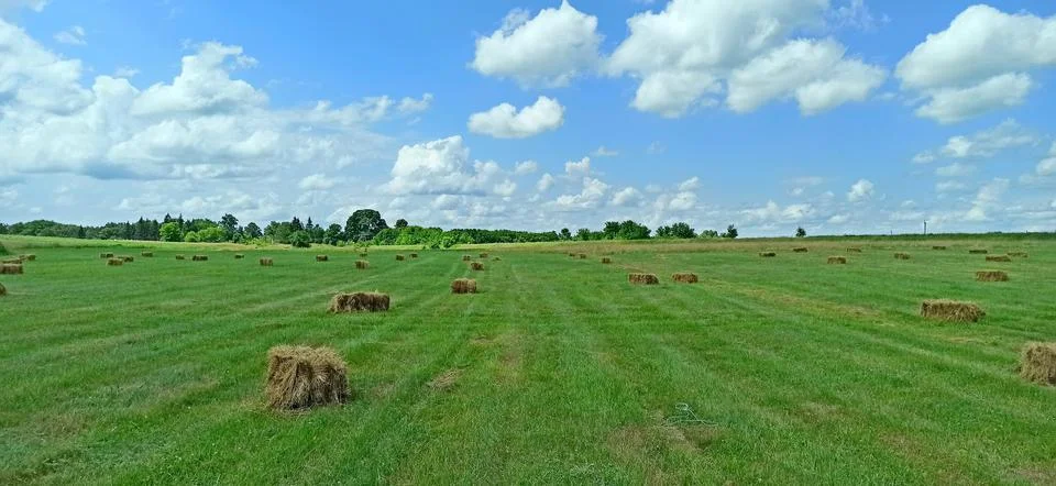Rectangular hay bales scattered on a green grass field under a cloudy sky Photos