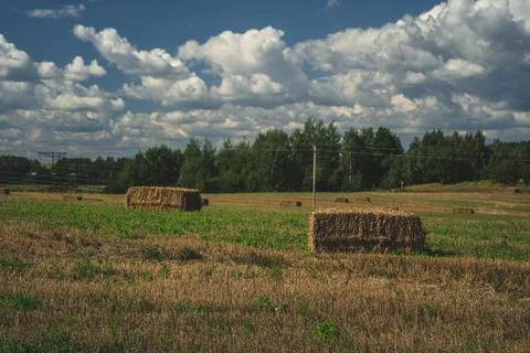Rectangular haystacks on the field. Haystack after harvesting. Thick clouds Stock Photos
