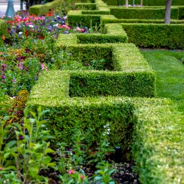 Rectangular hedge and flowers in a park 스톡 사진