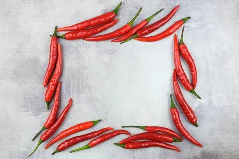 Rectangular horizontal frame for text lined with pods of hot red chili pepper Stock Photos