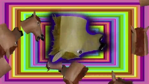 Rectangular Horse Head Tunnel Large Head Stock Footage 69266403