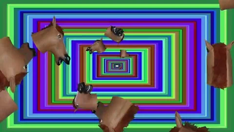 Rectangular Horse Head Tunnel Small Heads Negative Background Stock Footage 69266378