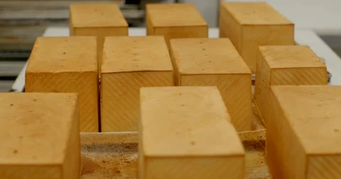 Rectangular loaves on bakery conveyor highlighting uniform product staging and Stockbeeldmateriaal 344582703