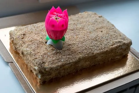Rectangular napoleon cake with pink lotus flower candle celebrating a birthda Stock Photos