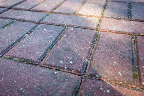 Rectangular paving stones laid on the ground Foto stock