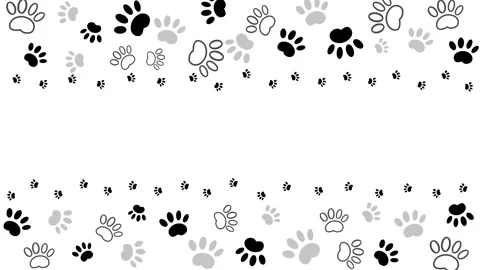 Rectangular pet paw print frame with blank space for text and images. Stock Footage 305633661