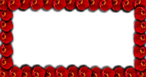Rectangular photo frame for copy photos or text. With a time lapse of the Stock Footage 134497504