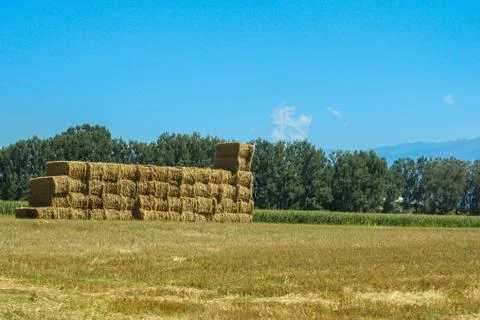 Rectangular pille of starws 写真素材