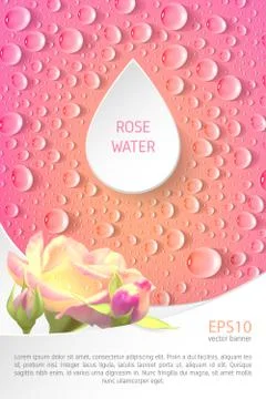 Rectangular pink banner with roses and drops. Illustrazione stock