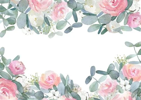 Rectangular pink floral bakground. Painted roses flowers, eucalyptus leaves and Stock Illustration
